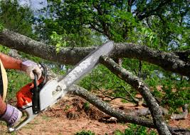 Laurel Hill, VA  Tree Services Company